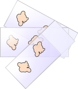 Slide Microscopy Bone2 Clip Art