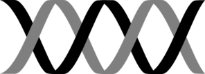 Bw Dna Clip Art