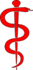 Rod Of Asclepius Upright Clip Art