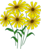 Golden Flower  Clip Art