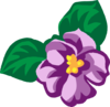 African Violet 45 Clip Art