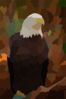 American Bald Eagle Clip Art