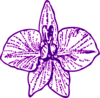 Orchid Outline Pure Clip Art