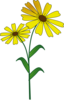 Daisy Clip Art