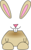 Bunny Clip Art Clip Art