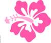 Coral Hibiscus Clip Art