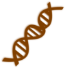 Dna Clip Art