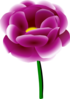 Peony Clip Art