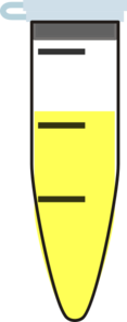 Trypsine Clip Art