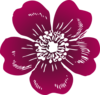 Wild Rose Clip Art