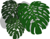 Leaves Clip Art