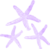 Starfish Clip Art