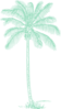 Mint Palm  Clip Art