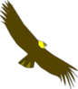 Condor Colombiano Clip Art