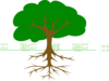 Treerootnew Clip Art