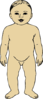 Anterior View Of Infant Clip Art