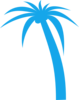 Palm Tree Clip Art