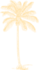 Palm Tree Clip Art