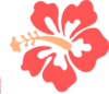 Coral Hibiscus Clip Art