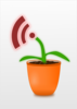 Rss Flower Clip Art