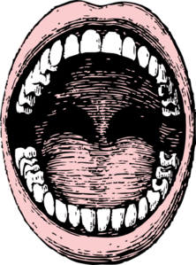Boca Vector Clip Art