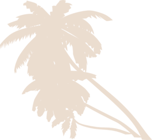 Palm Tree Clip Art