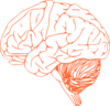 Brain Clip Art