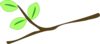 Branch Clip Art