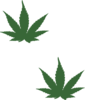 Weed Leaf Clip Art