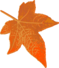 Orange Maple Leaf Clip Art