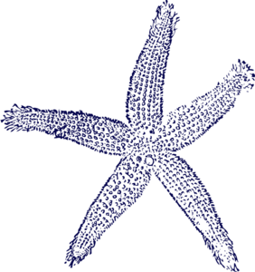 Single Starfishs Clip Art