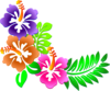 Hibiscus Corner Clip Art