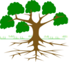 Tree Clip Art