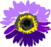 Purple Sunflower Clip Art