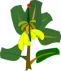 Bananas On The Tree Clip Art