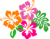 Hibiscus Clip Art