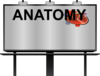 Anatomy Clip Art