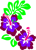 Hibiscus Con Hojas Clip Art