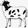 Sheep Clip Art