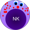 Nk Cell Clip Art