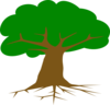 Treerootnew Clip Art