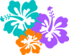 Hibiscus 3 Couleurs Clip Art