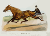 The Wonderful Mare Maud S. Record 2:10 1/4 Clip Art